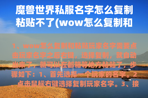 魔兽世界私服名字怎么复制粘贴不了(wow怎么复制和粘贴玩家名字)